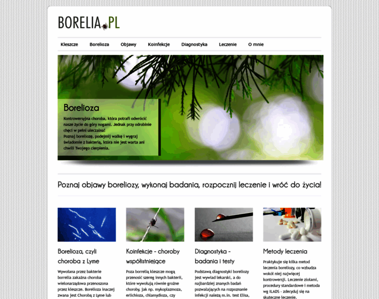 Borelia.pl thumbnail
