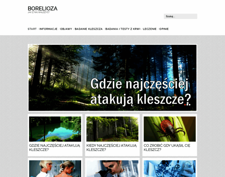 Borelioza.info.pl thumbnail