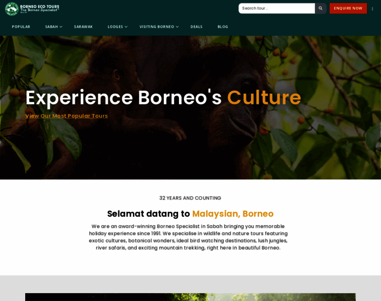 Borneoecotours.com thumbnail