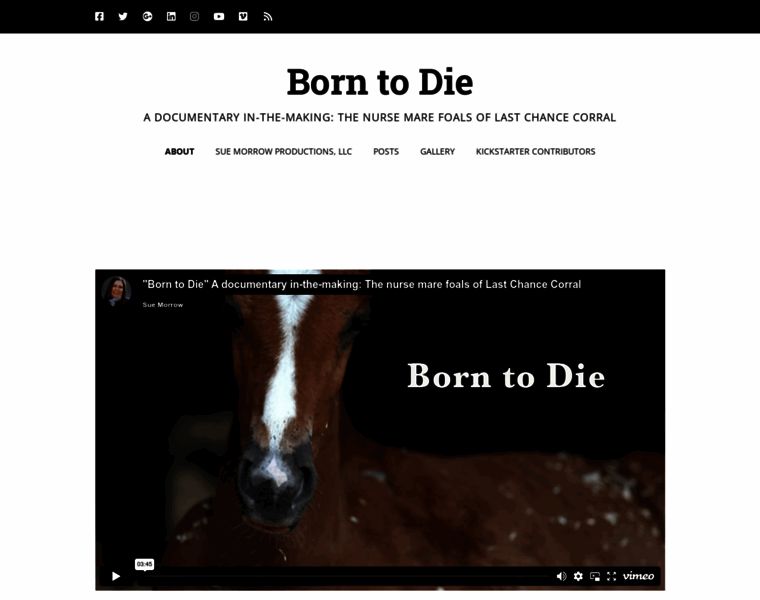 Borntodie.org thumbnail