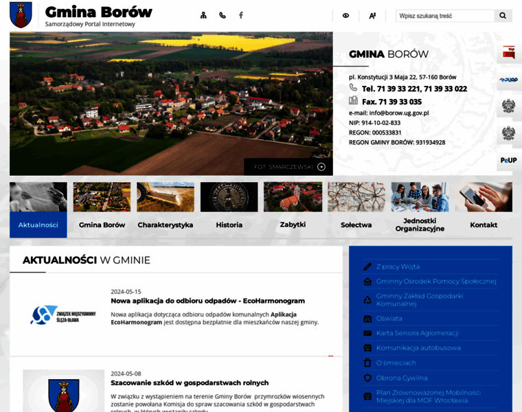 Borow.pl thumbnail