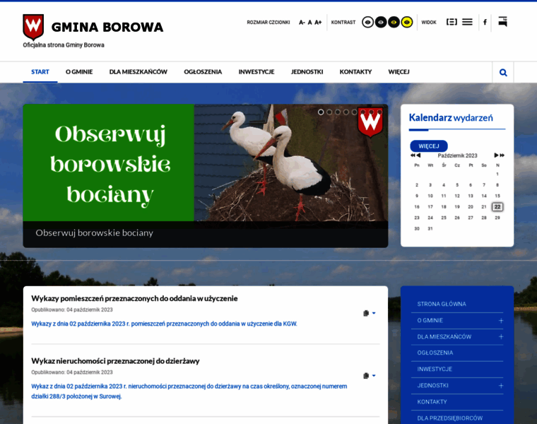 Borowa.pl thumbnail