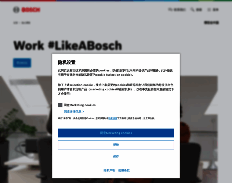 Bosch-career.cn thumbnail