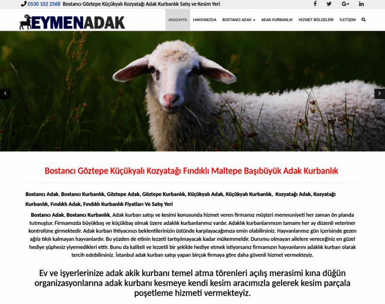Bostanciadak.com thumbnail