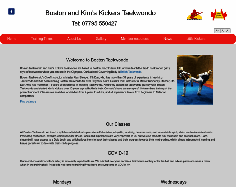 Boston-taekwondo.co.uk thumbnail