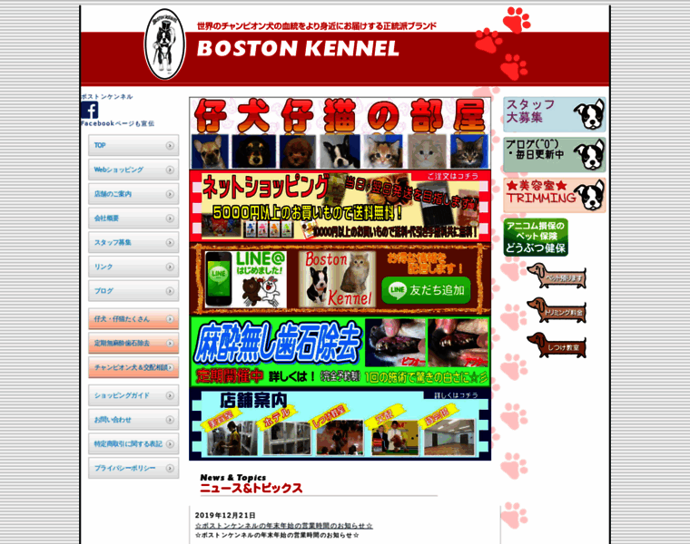 Bostonkennel.co.jp thumbnail