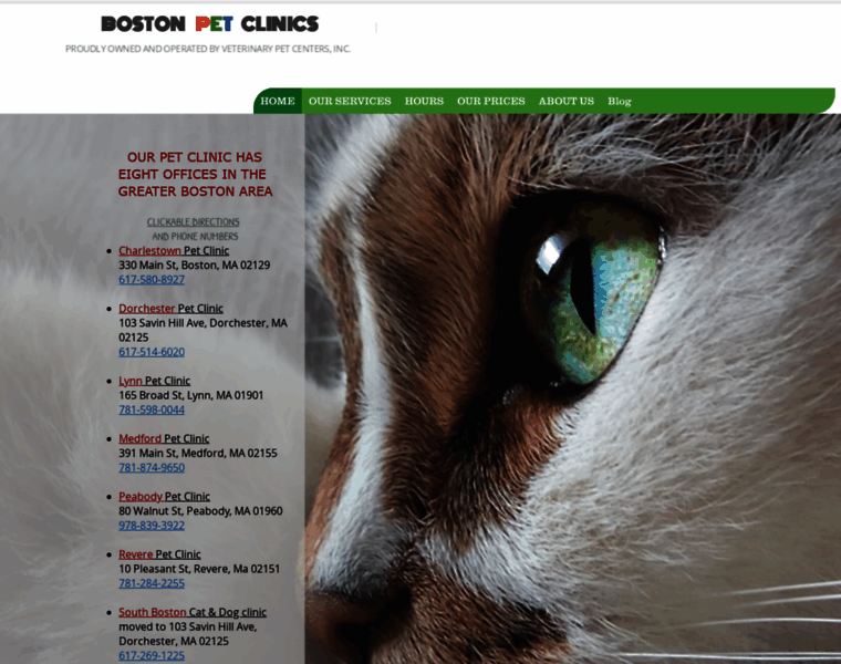 Bostonpetclinics.com thumbnail