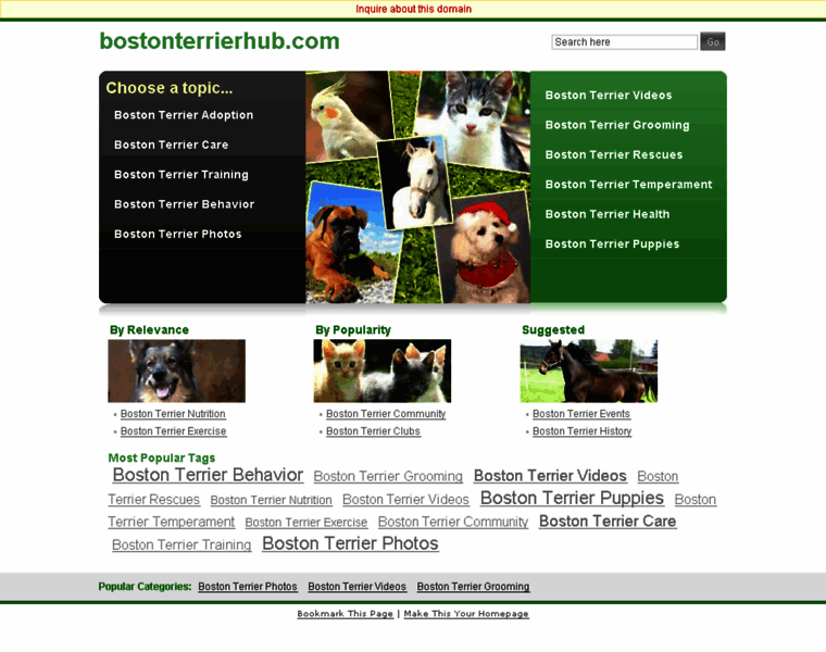 Bostonterrierhub.com thumbnail