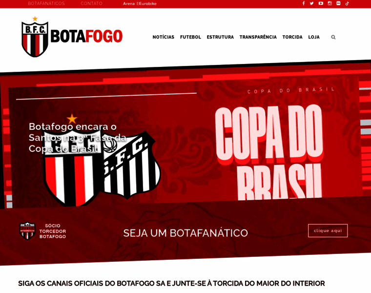 Botafogofutebolsa.com.br thumbnail