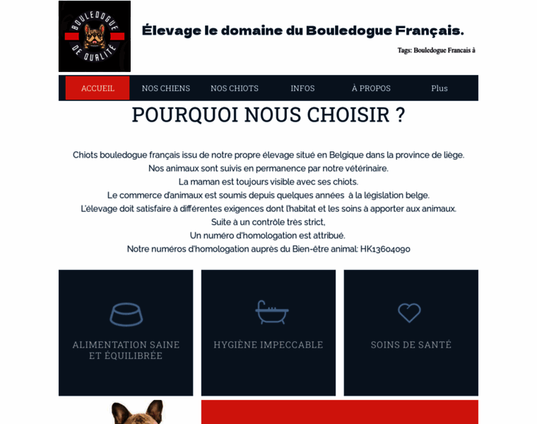 Bouledogue-francais.be thumbnail
