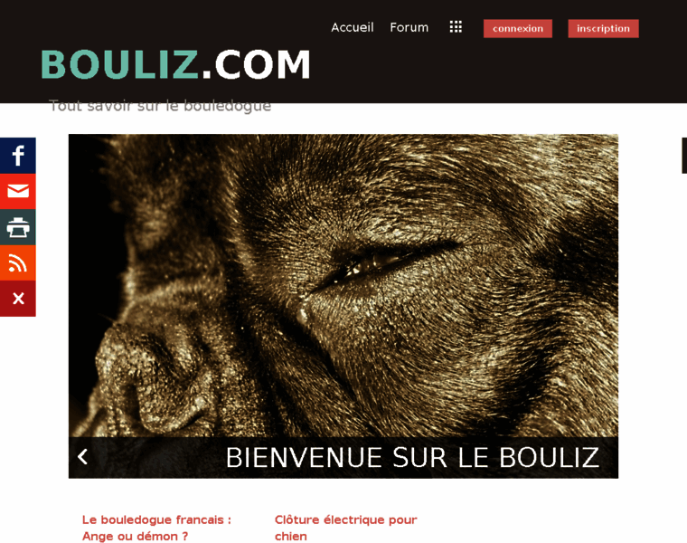 Bouliz.com thumbnail