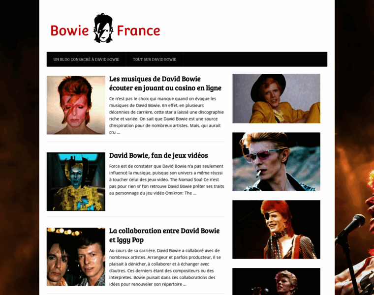 Bowiefrance.fr thumbnail