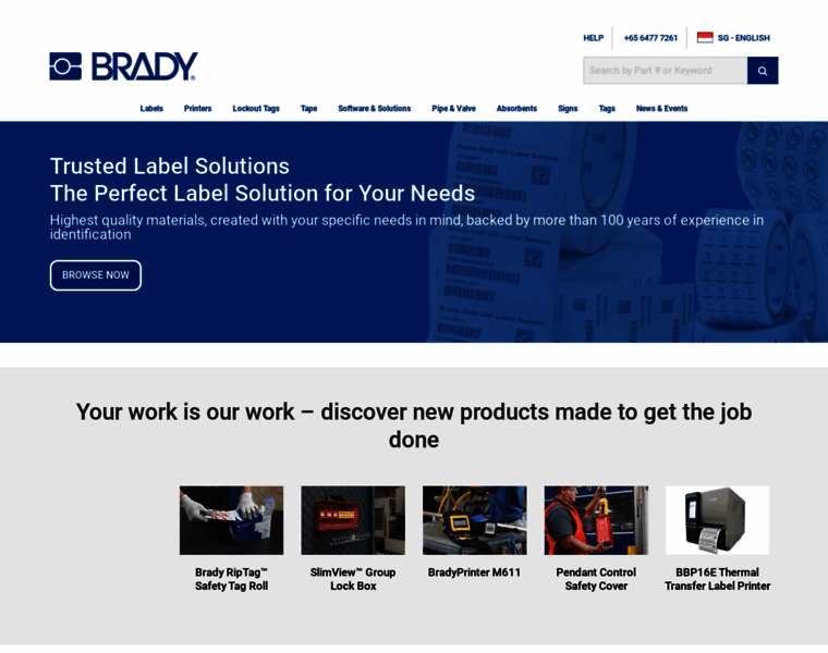 Bradyid.com.sg thumbnail