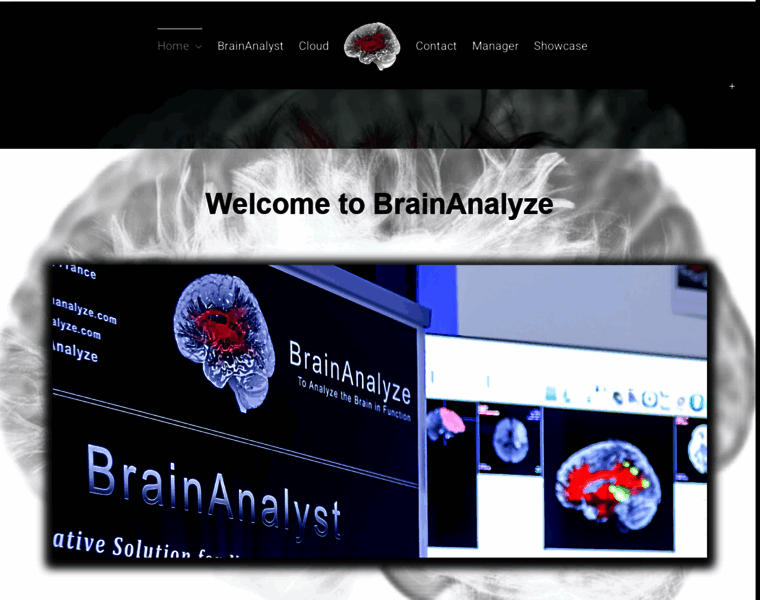 Brainanalyze.com thumbnail