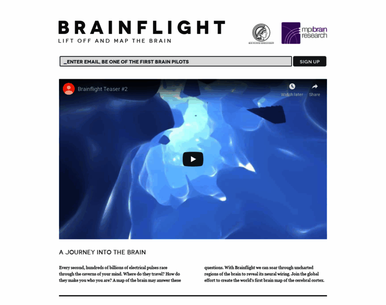 Brainflight.org thumbnail