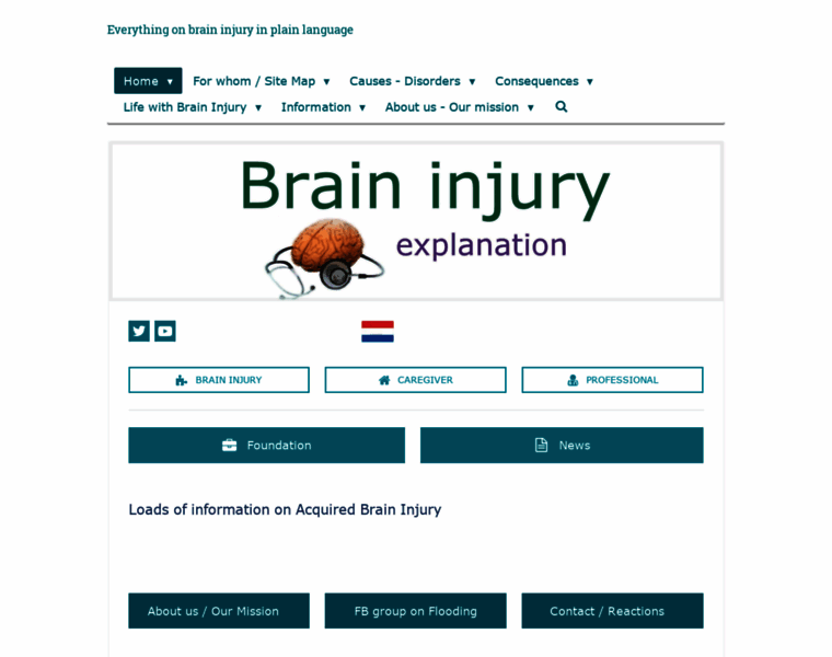 Braininjury-explanation.com thumbnail