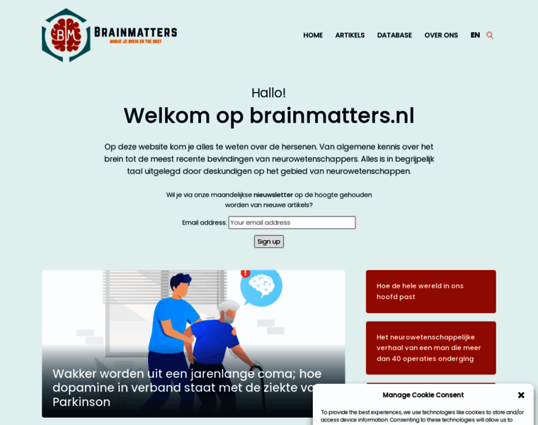 Brainmatters.nl thumbnail