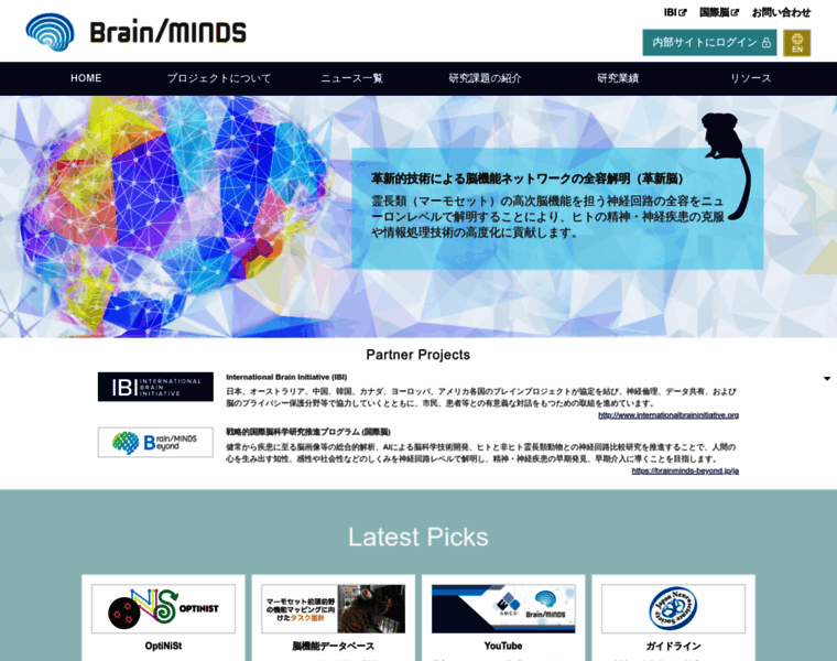 Brainminds.jp thumbnail