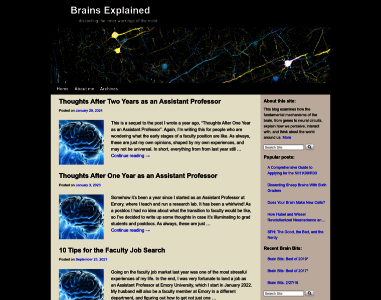 Brains-explained.com thumbnail