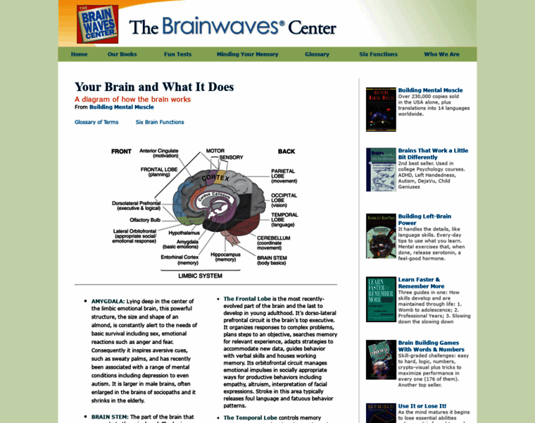 Brainwaves.com thumbnail