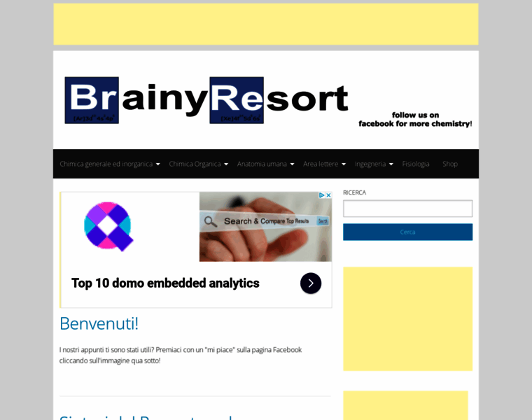 Brainyresort.com thumbnail