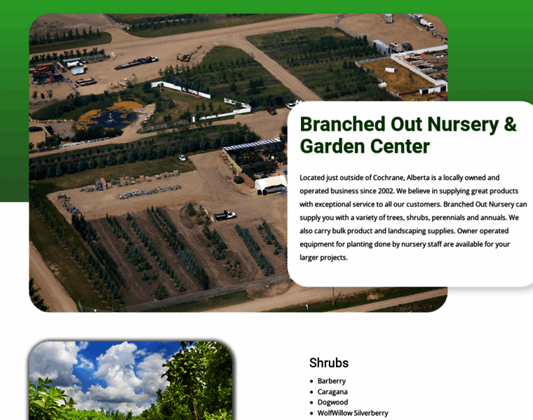 Branchedoutnursery.ca thumbnail