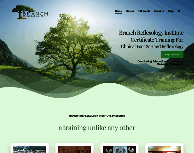 Branchreflexology.com thumbnail