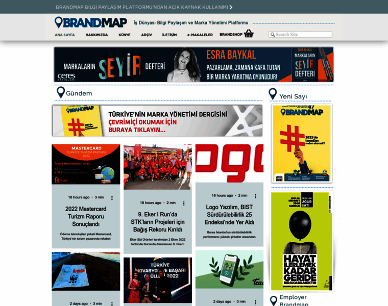 Brandmap.com.tr thumbnail