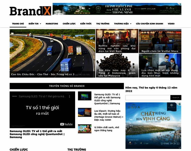 Brandx.vn thumbnail