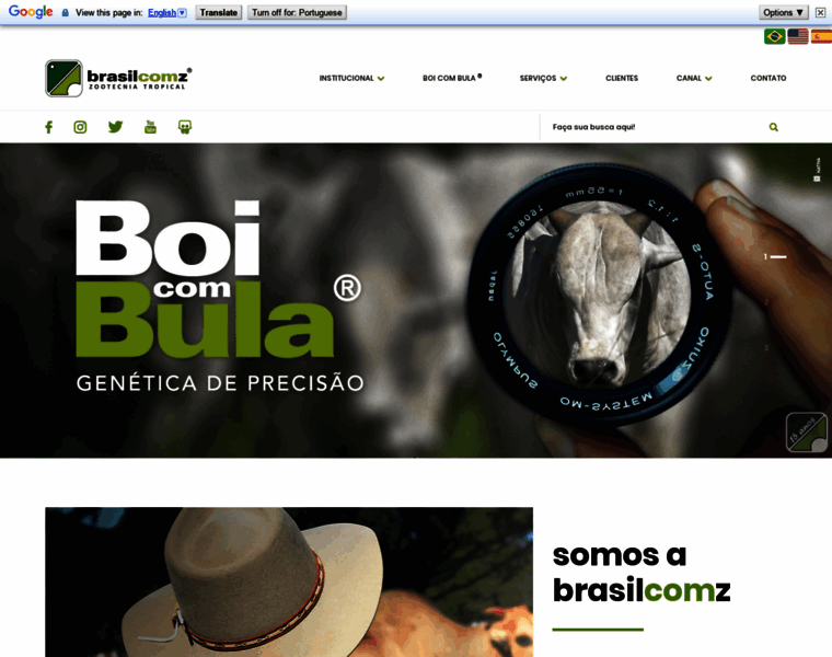Brasilcomz.com thumbnail