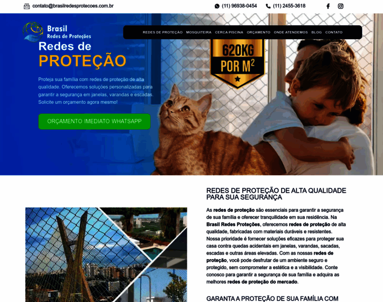 Brasilredesprotecoes.com.br thumbnail
