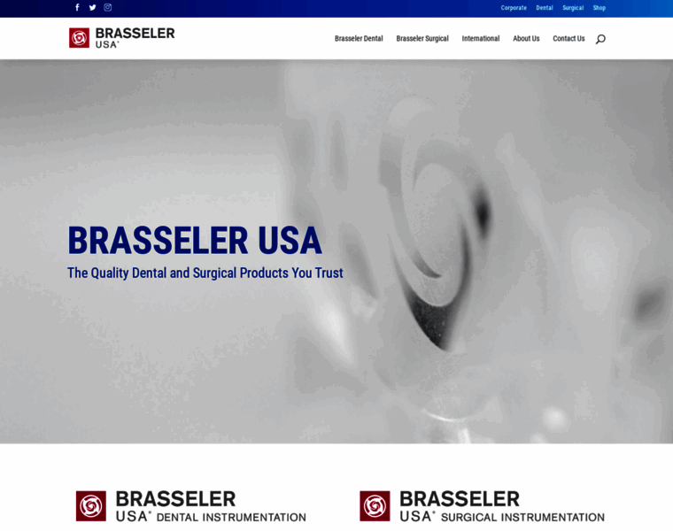 Brasselerusa.com thumbnail