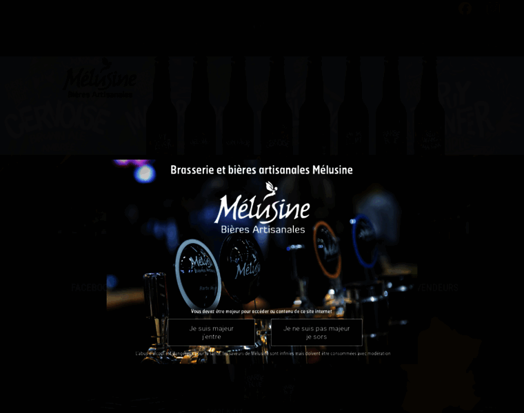 Brasserie-melusine.com thumbnail