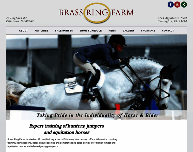 Brassringfarm.net thumbnail