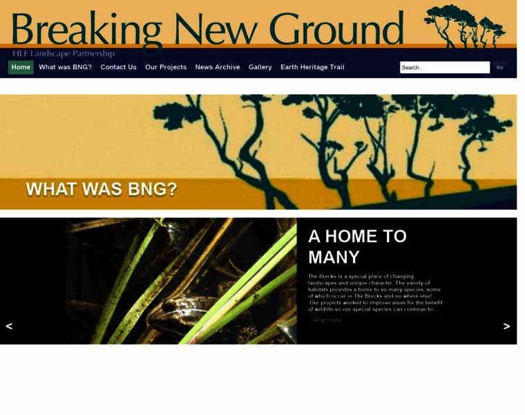 Breakingnewground.org.uk thumbnail
