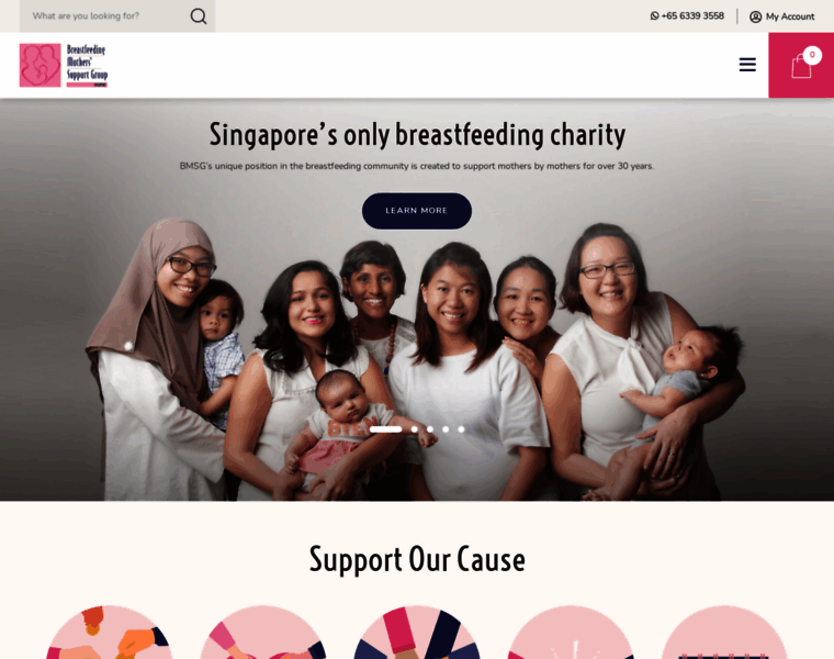 Breastfeeding.org.sg thumbnail