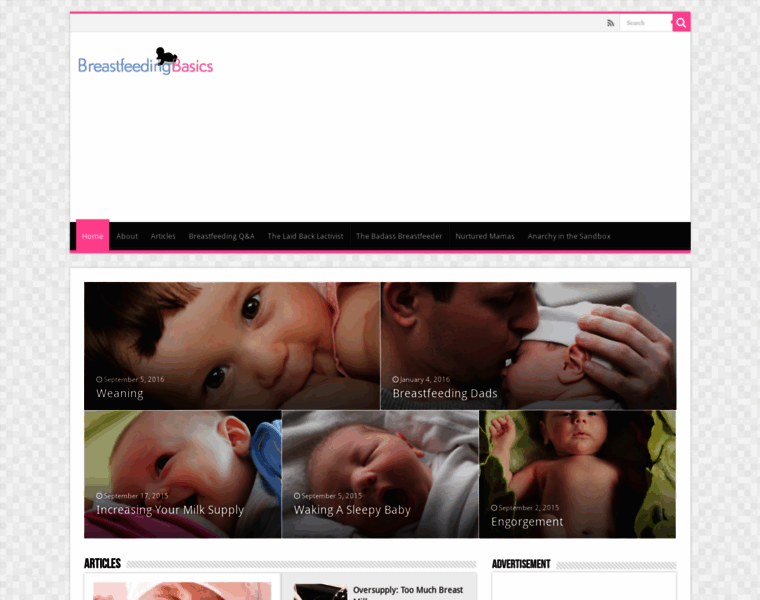 Breastfeedingbasics.com thumbnail