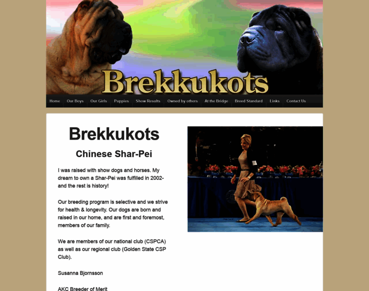 Brekkukots.com thumbnail