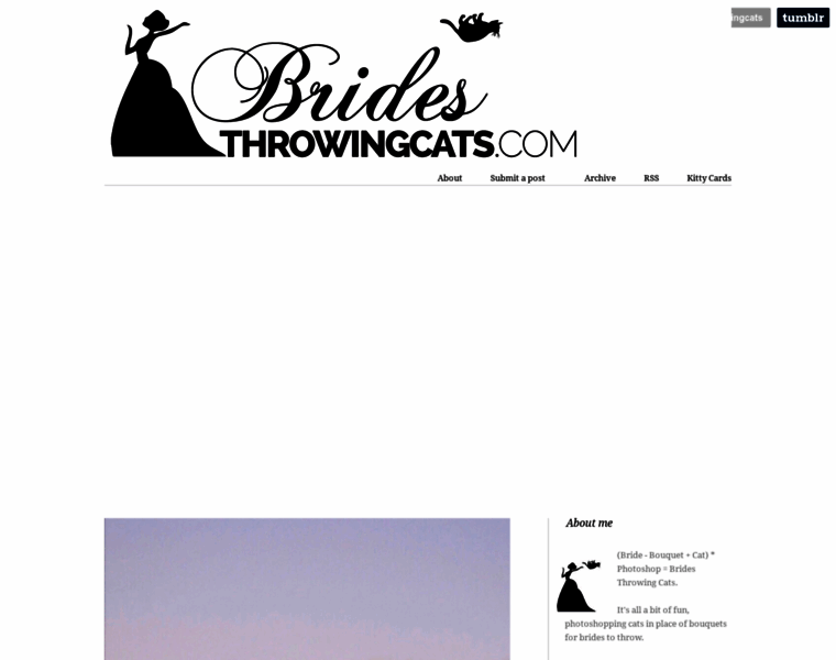 Bridesthrowingcats.com thumbnail