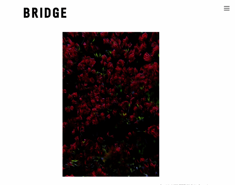 Bridge-31.com thumbnail