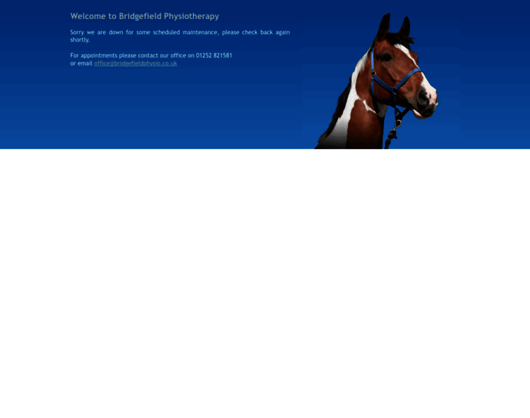 Bridgefieldphysio.co.uk thumbnail Bridgefieldphysio.co.uk thumbnail