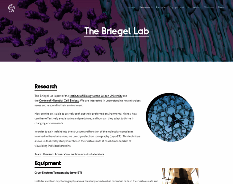 Briegel-lab.org thumbnail