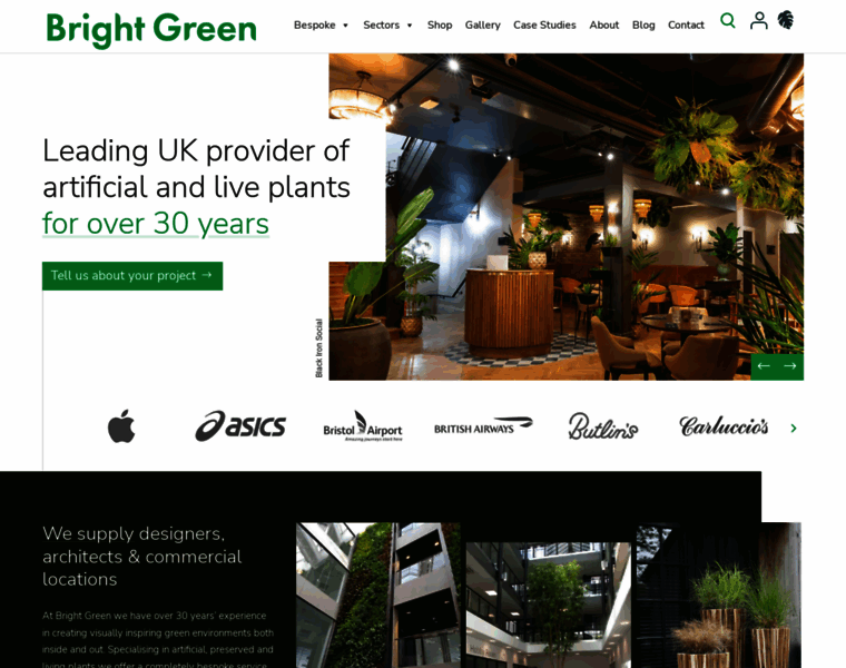 Brightgreen.co.uk thumbnail