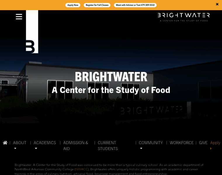 Brightwater.org thumbnail