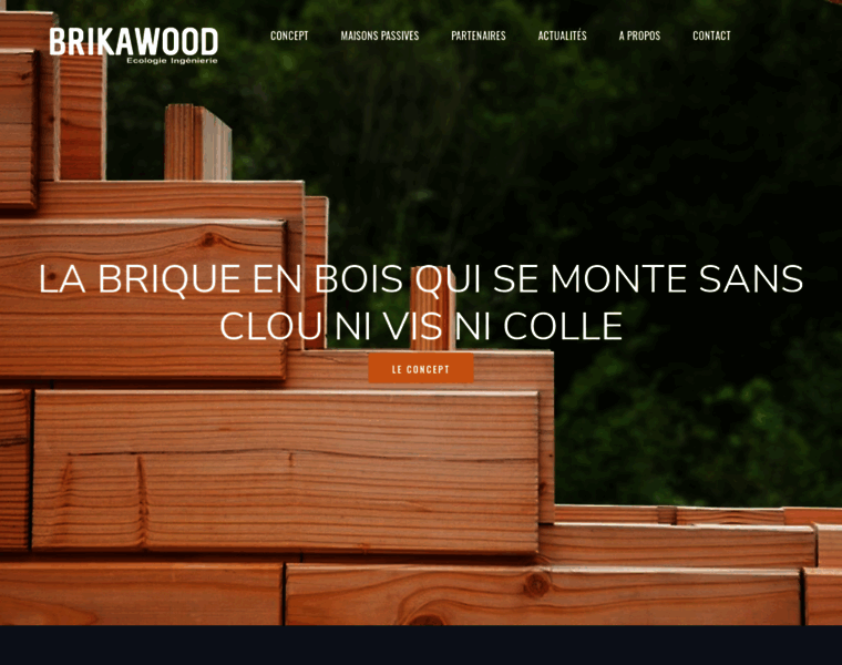 Brikawood-ecologie.fr thumbnail