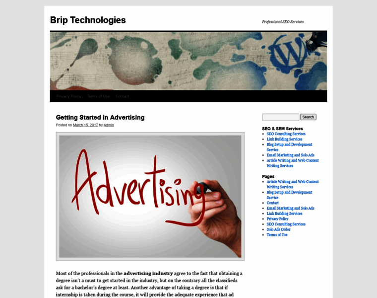 Briptech.com thumbnail