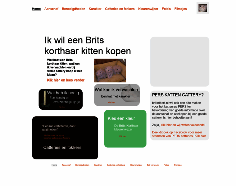 Britintkort.nl thumbnail