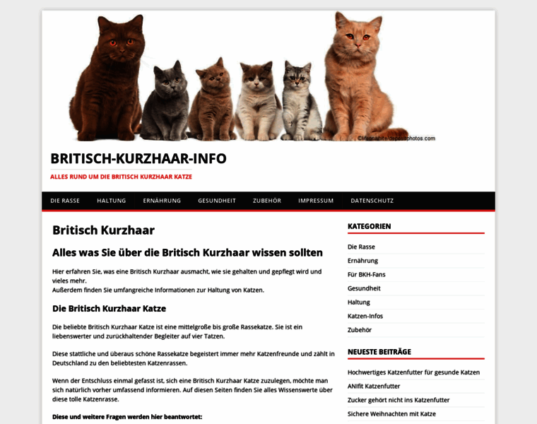 Britisch-kurzhaar-info.de thumbnail