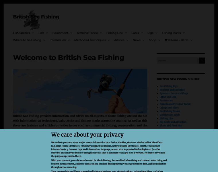 Britishseafishing.co.uk thumbnail