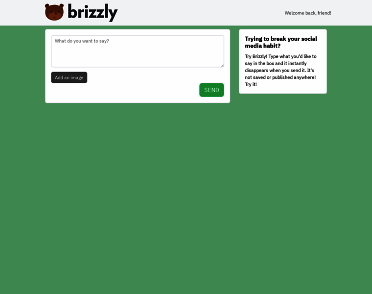 Brizzly.com thumbnail
